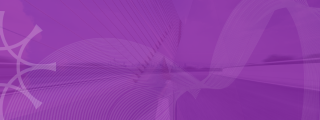 Lynx layered bridge image